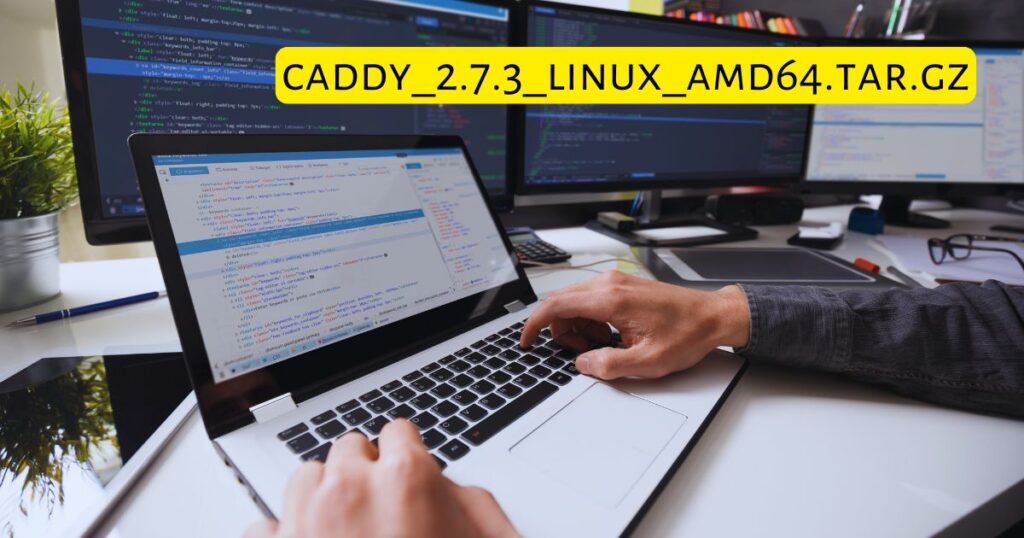 caddy_2.7.3_linux_amd64.tar.gz